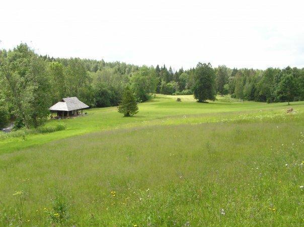 Kunstimae Tourism Farm Willa Risttee Zewnętrze zdjęcie